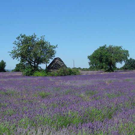 La Mordoree La Motte-d'Aigues Ngoại thất bức ảnh