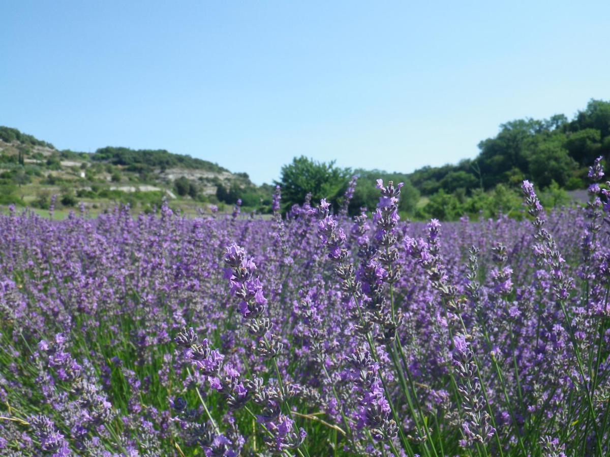 La Mordoree La Motte-d'Aigues Ngoại thất bức ảnh