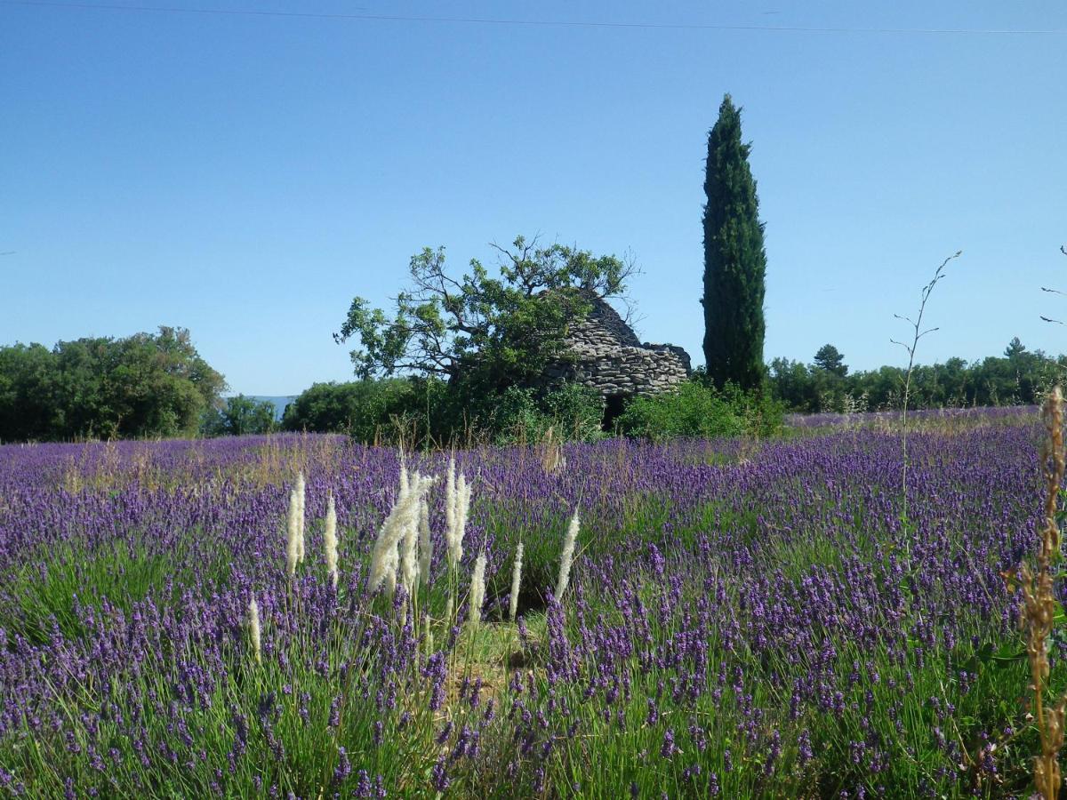 La Mordoree La Motte-d'Aigues Ngoại thất bức ảnh