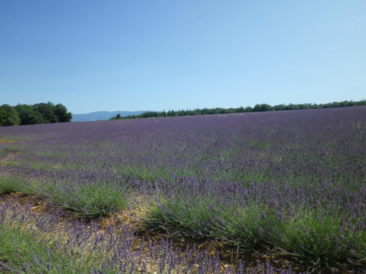 La Mordoree La Motte-d'Aigues Ngoại thất bức ảnh