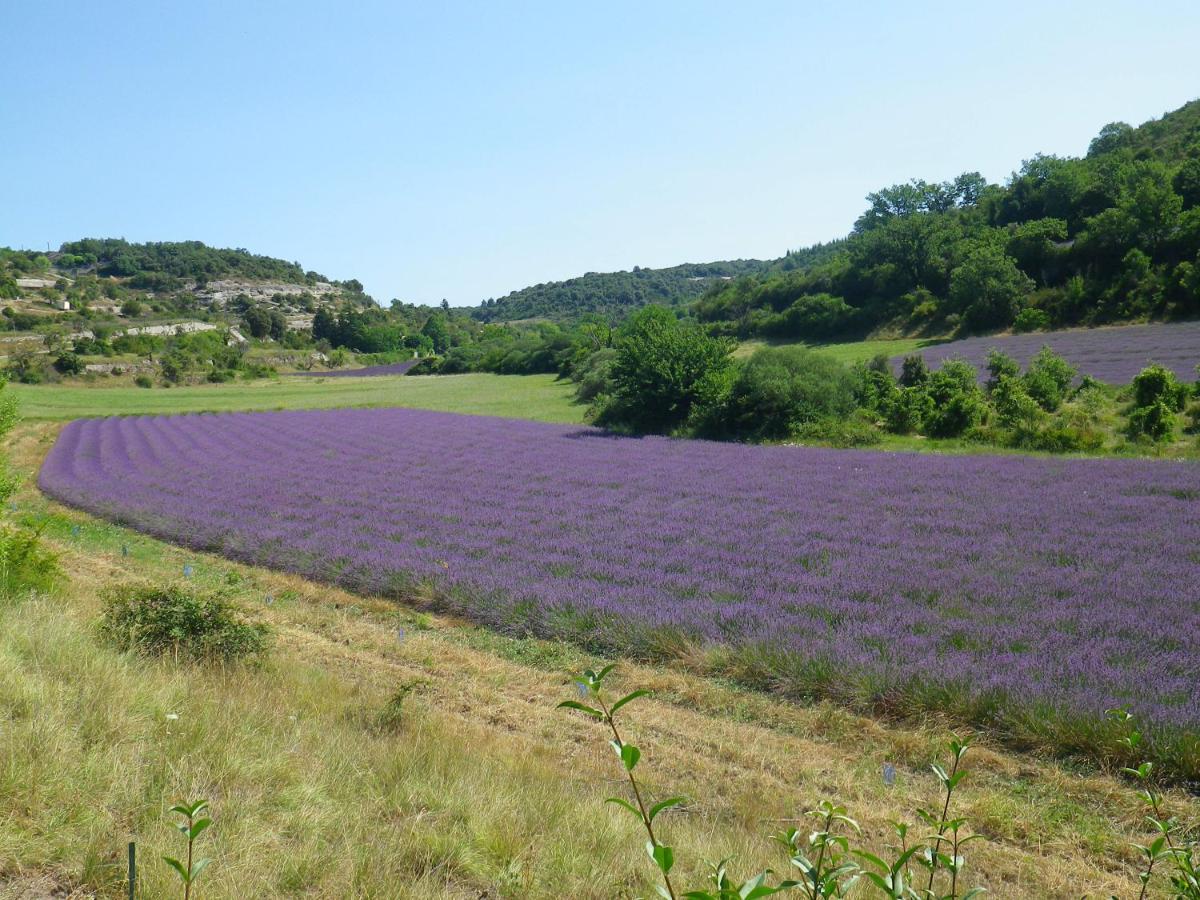 La Mordoree La Motte-d'Aigues Ngoại thất bức ảnh